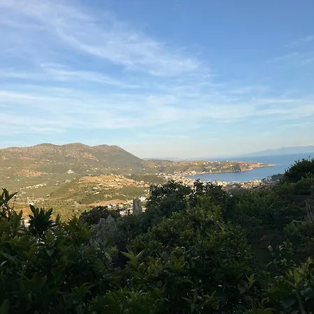 Olive House Hébergement de vacances *